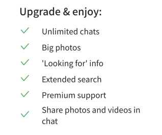 OneNightFriend Pricing