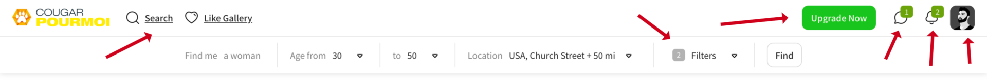 User interface and design on Cougar Por Moi