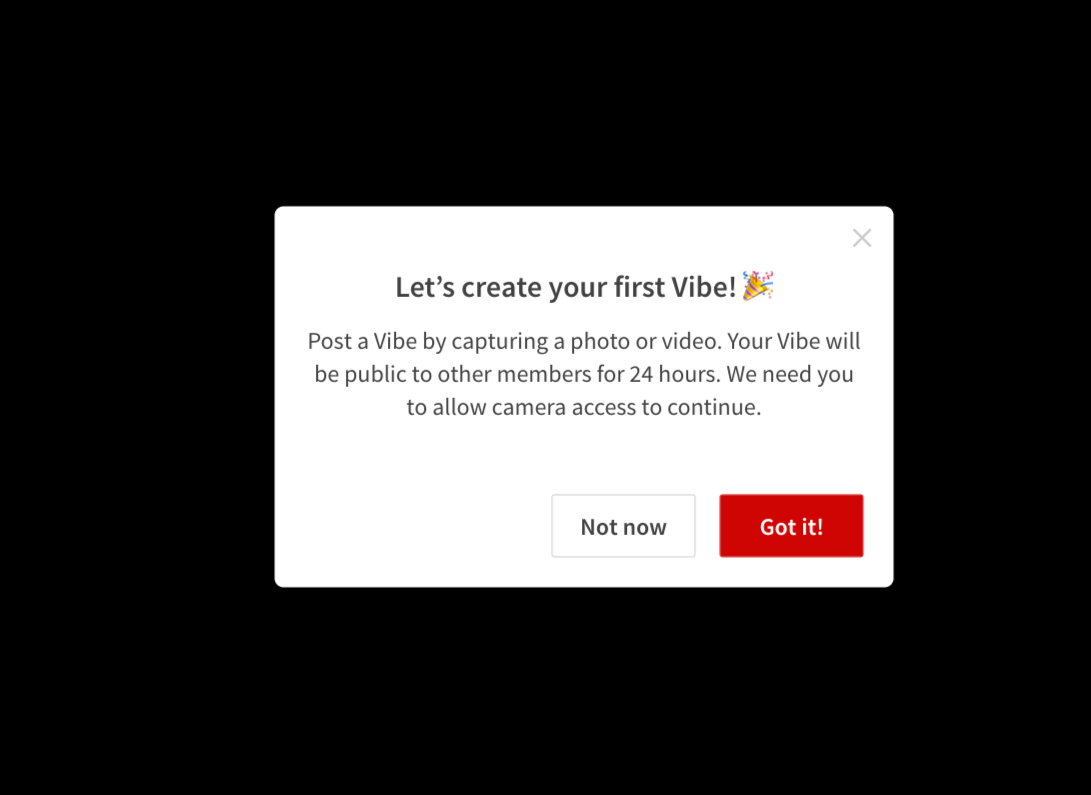 Vibes feature on Seeking