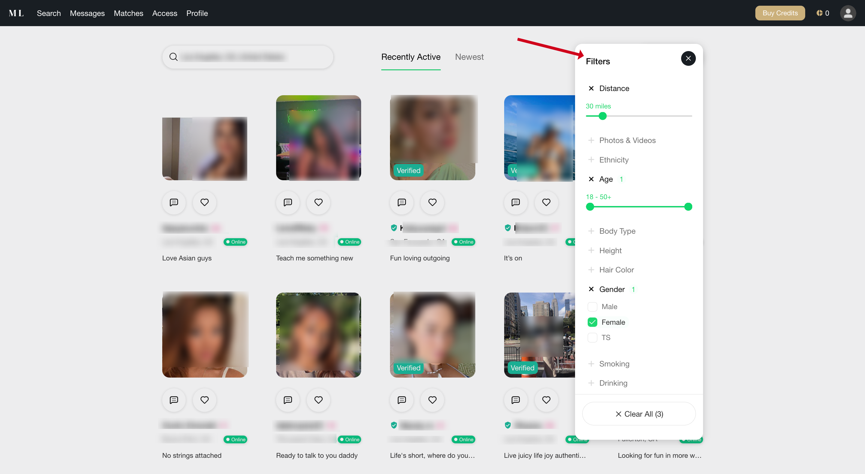 filters on MillionaireLove site