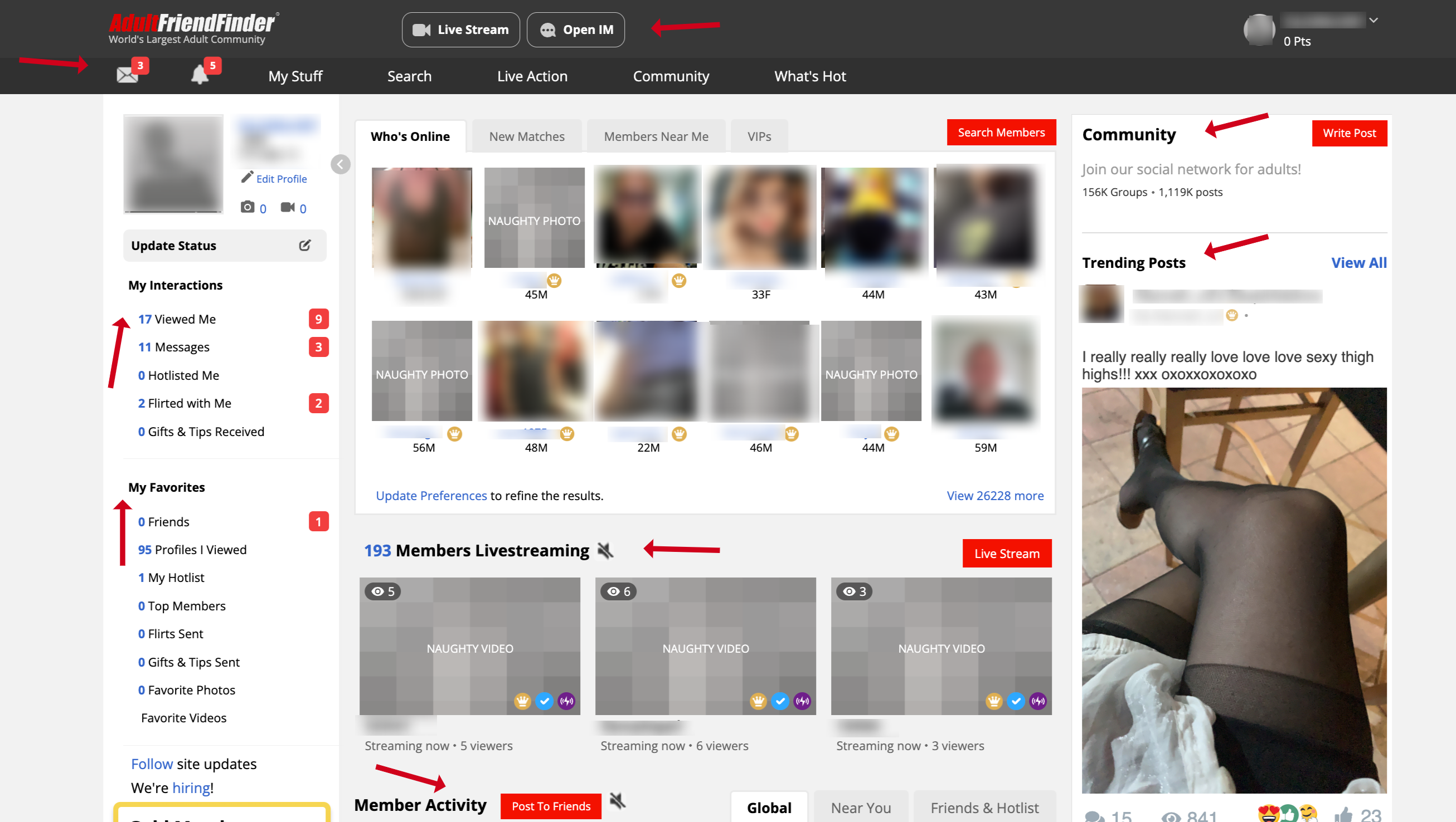 User interface and design of AdultFriendFinder
