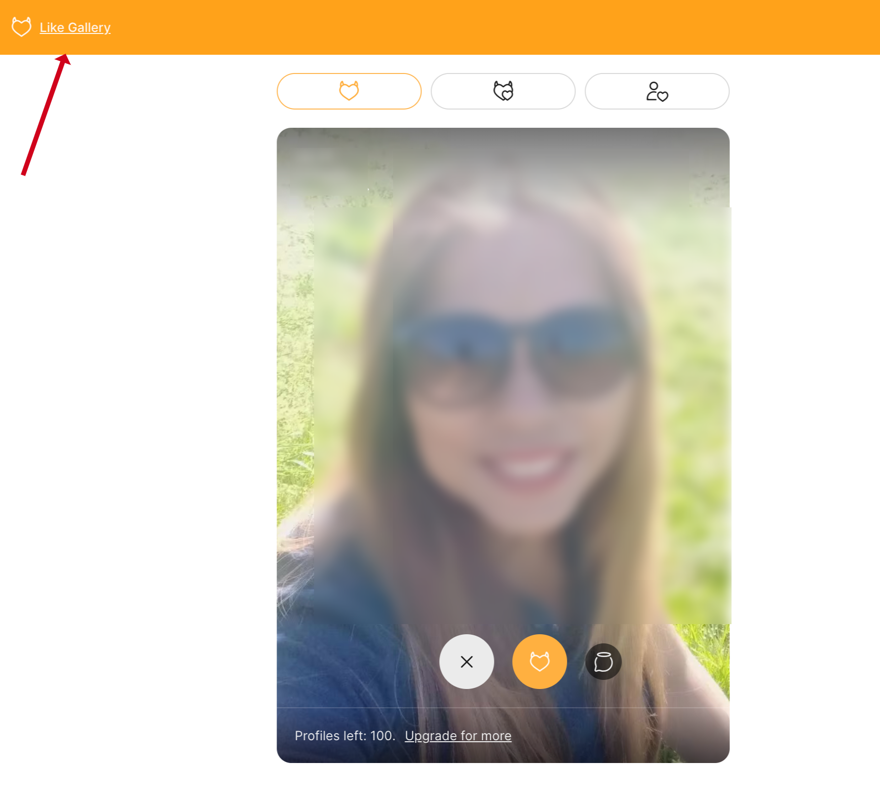 “Like Gallery” feature