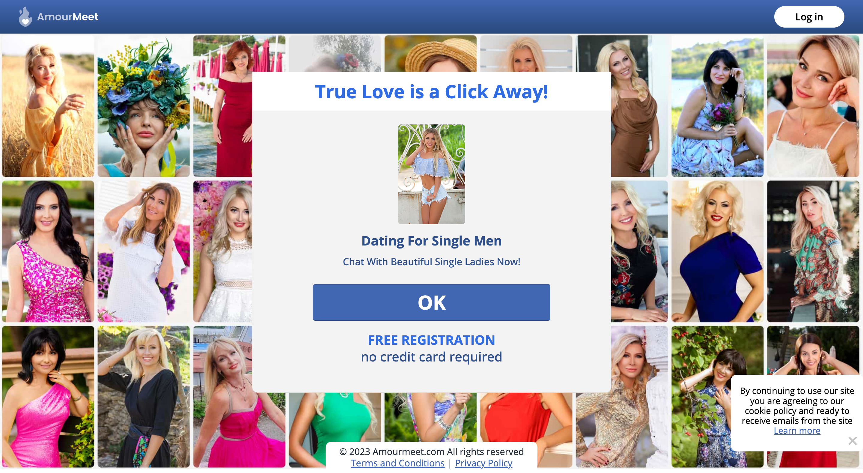 Amourmeet Dating Site